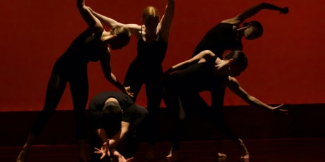 Espectáculos de danza
