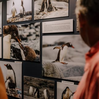 ANTARCTICA 360 - CG GALLERY | LLORET DE MAR 22
