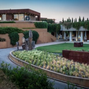 Bodegas Torres: Visita guiada + Maridaje de vinos y tapas