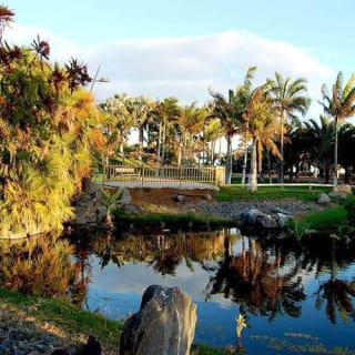 Palmetum de Santa Cruz de Tenerife: Entrada 1