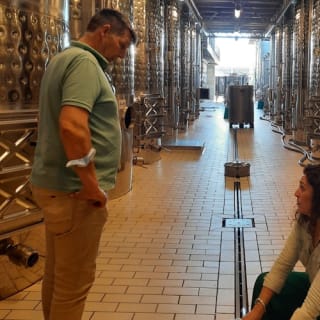 Mallorca: Visita guiada a Bodegas y Almazara + Catas + Traslado de ida y vuelta 19