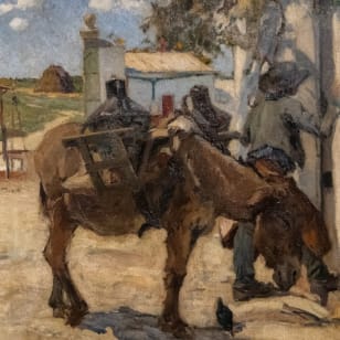 Museo Nacional Soares dos Reis: entrada