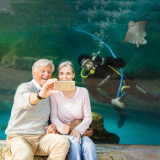 Palma Aquarium: Entrada gratuita + Cine Aquadome 3D opcional 3