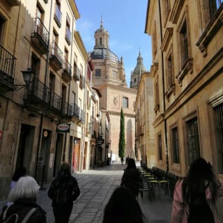 Ávila y Salamanca: Excursión Guiada de Día Completo desde Madrid 6