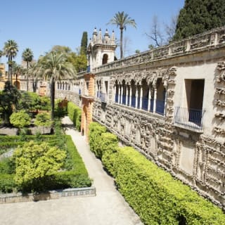 Real Alcázar de Sevilla: Visita guiada 1