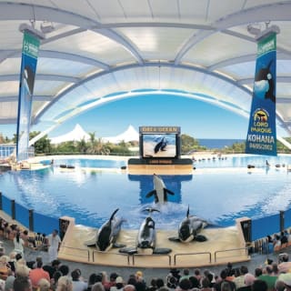 Loro Parque: Entrada 59