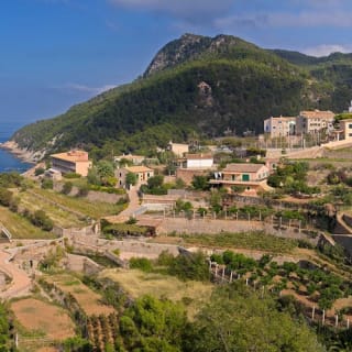 Recorrido por la isla de Mallorca: Autobús, tren, tranvía y barco 9