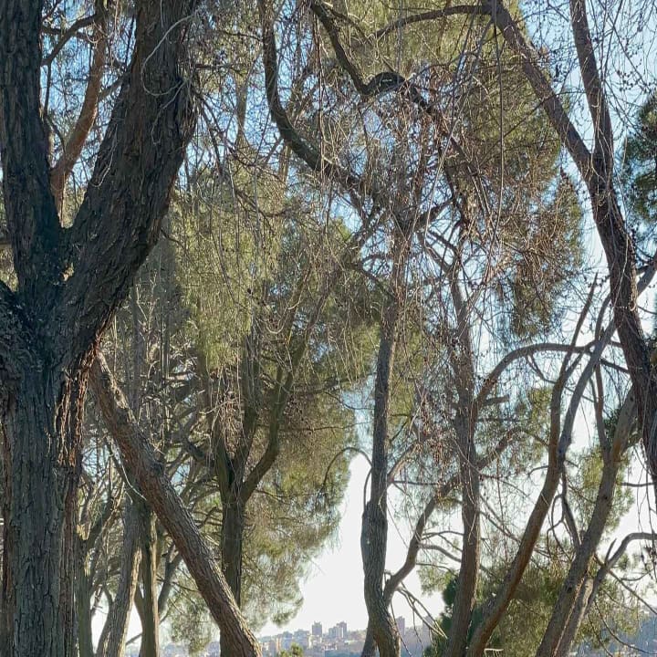 Madrid: Pilates por la mañana o al atardecer en el Templo de Debod