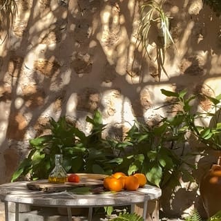 Guided Tasting Tour in 16th century House and Olive Oil Factory 14
