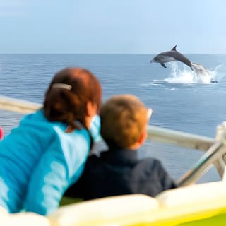 Sunrise Boat Trip in Mallorca with Dolphin-Watching 2