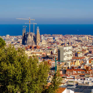 Park Güell Tour Guiado 7