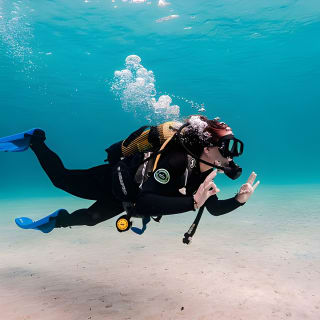 Try Scuba Diving by Boat in Mallorca 1