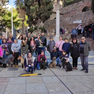 Museo Picasso Málaga: visita guiada 30