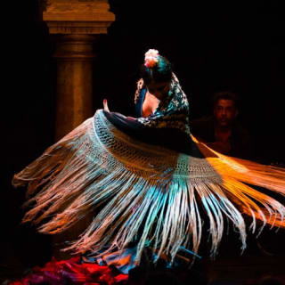 Museo del Baile Flamenco: Solo el espectáculo 21