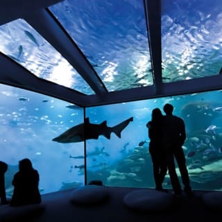 Palma Aquarium: Entrada gratuita + Cine Aquadome 3D opcional 80