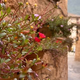 Valldemossa Tour and its Most Beautiful Viewpoints Easy Hike 31