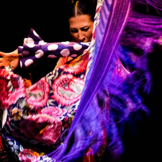 Museo del Baile Flamenco: Solo el espectáculo 1
