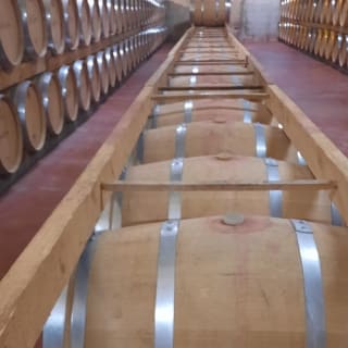 Mallorca: Visita guiada a Bodegas y Almazara + Catas + Traslado de ida y vuelta 13