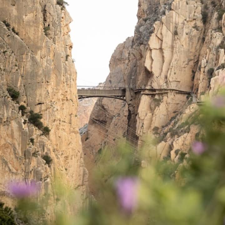 Caminito del Rey: Visita guiada en francés + Traslado de ida