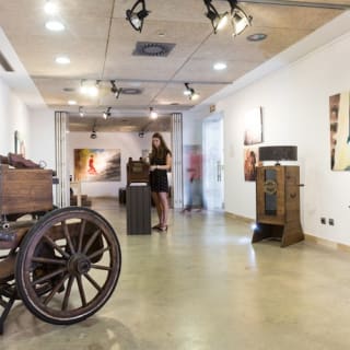 Museo del Baile Flamenco: Entrada + Puro Espectáculo Flamenco 8