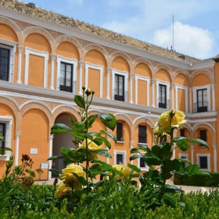 Real Alcázar de Sevilla: Entrada 1