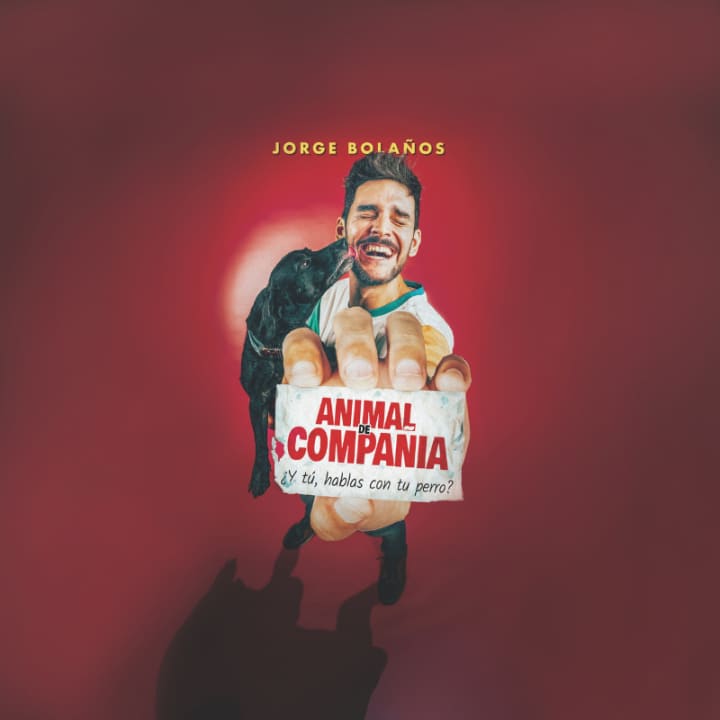 Animal de Compañía