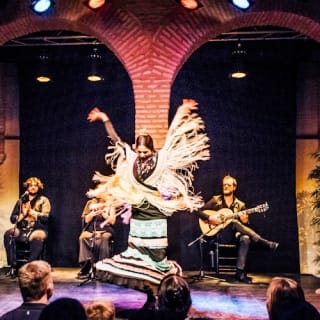 Museo del Baile Flamenco: Solo el espectáculo 16