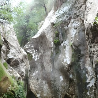 Beginner Canyoning in Mallorca 6