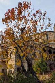 Photo 4 from Monasterio de Yuste